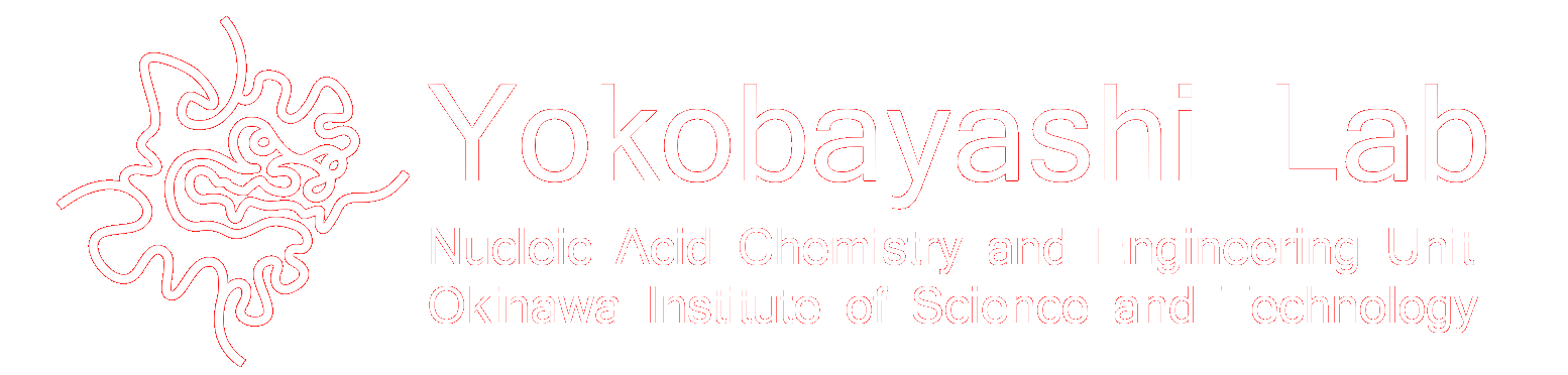 Yokobayashi Lab